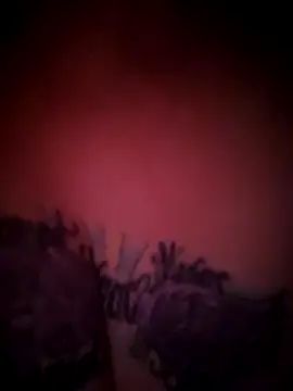 julimonroe online show from February 18, 10:22 am