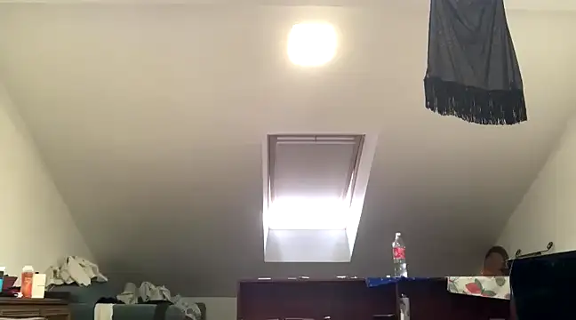 WildzMareNextLevel online show from January 4, 9:54 am