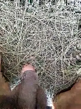 Gopal1243 online show from February 19, 8:10 am