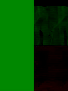 GeilerSchweizer online show from November 25, 8:47 am