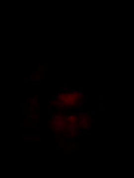 Snapshot of liderek83 chatting on October 30, 12:01 am liderek83 online show from October 30, 12:01 am