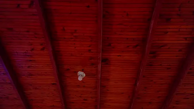 annie barozzi online show from October 18, 1:23 pm