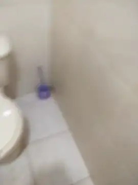 sagrado 1989 online show from February 6, 1:21 am