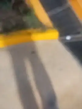 sagrado 1989 online show from February 23, 1:47 am