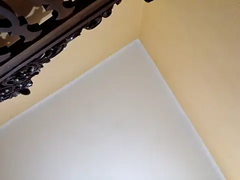 Snapshot of White_rabbit_ chatting on October 29, 10:00 pm White rabbit online show from October 29, 10:00 pm