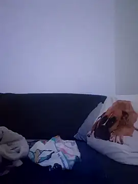 cuci45 online show from December 21, 1:13 am