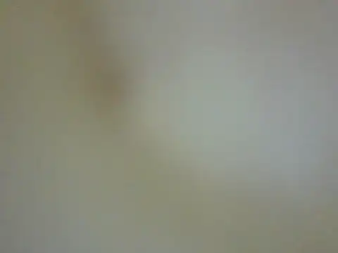 Snapshot of CaptainFox chatting on May 22, 7:30 pm CaptainFox online show from May 22, 7:30 pm
