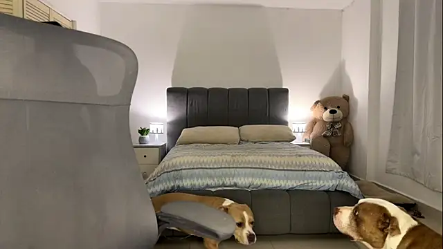 Snapshot of nurbanu_hatem chatting on February 13, 8:43 am nurbanu hatem online show from February 13, 8:43 am