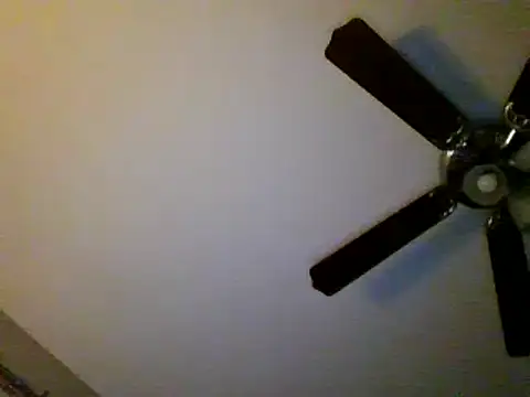 Snapshot of Gerbil8823 chatting on February 7, 9:47 am Gerbil8823 online show from February 7, 9:47 am