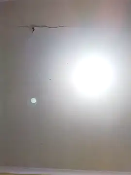 DangerousSafari online show from November 3, 2:29 pm