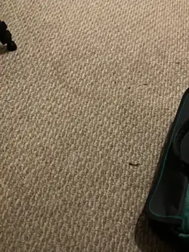 1Lustfully yours online show from November 10, 7:57 pm