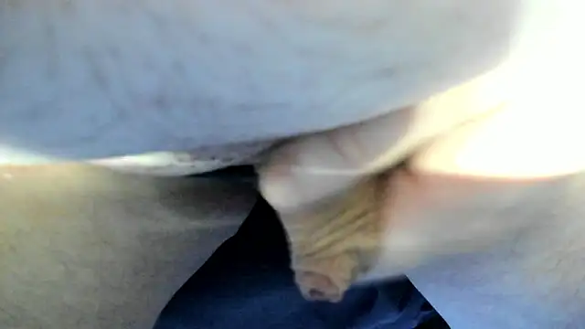 Big Andiy online show from September 12, 2:33 am