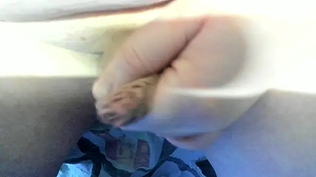 Big Andiy online show from December 19, 4:19 am