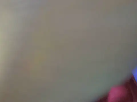 portiax online show from November 10, 5:28 am