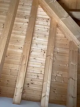 Snapshot of Fellix chatting on October 27, 11:47 am Fellix online show from October 27, 11:47 am