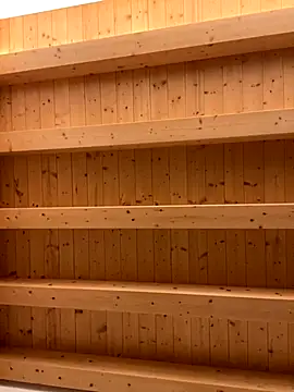 Snapshot of Fellix chatting on November 17, 8:42 am Fellix online show from November 17, 8:42 am