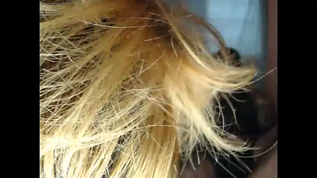 lover 1994 online show from March 27, 12:05 pm