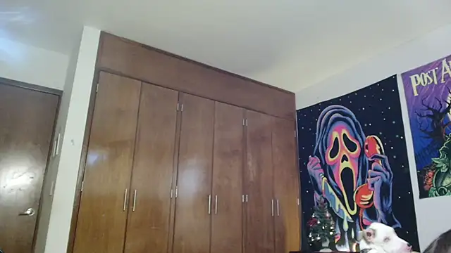 MINI Petite online show from December 15, 5:50 pm