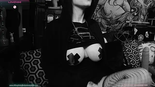 Silentmary online show from January 22, 1:10 am