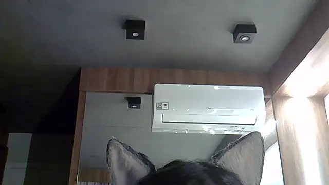 Skinny-Kitten online show from September 30, 9:31 pm