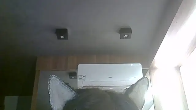 Snapshot of Skinny-Kitten chatting on June 1, 3:47 pm Skinny-Kitten online show from June 1, 3:47 pm