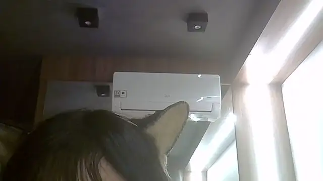 Snapshot of Skinny-Kitten chatting on June 24, 1:37 am Skinny-Kitten online show from June 24, 1:37 am