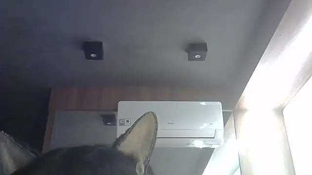 Snapshot of Skinny-Kitten chatting on June 28, 1:33 am Skinny-Kitten online show from June 28, 1:33 am