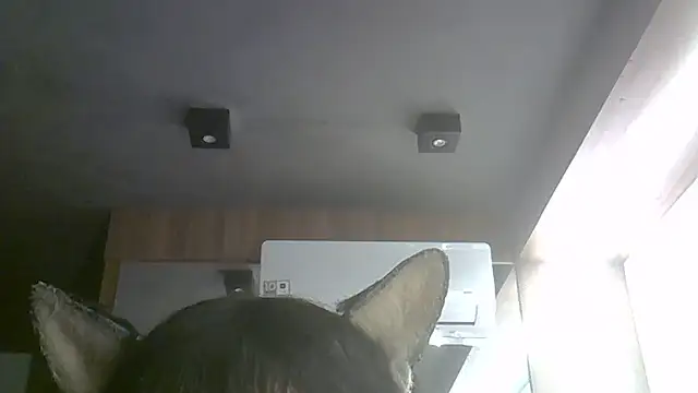 Snapshot of Skinny-Kitten chatting on July 9, 9:35 am Skinny-Kitten online show from July 9, 9:35 am