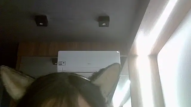 Snapshot of Skinny-Kitten chatting on July 17, 11:50 am Skinny-Kitten online show from July 17, 11:50 am