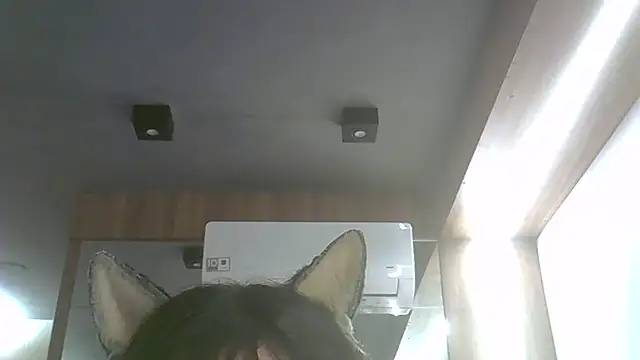 Snapshot of Skinny-Kitten chatting on July 17, 11:53 pm Skinny-Kitten online show from July 17, 11:53 pm
