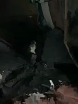 prekumstud online show from February 20, 11:43 am