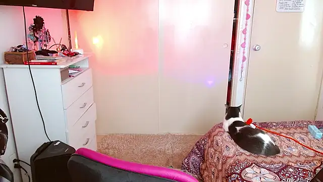 alisseallie online show from March 21, 2:31 pm