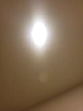 Snapshot of lofibunni chatting on February 14, 12:46 pm lofibunni online show from February 14, 12:46 pm