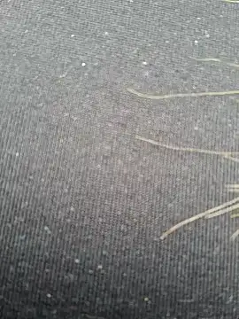 Snapshot of Evehampy chatting on December 1, 6:08 pm Evehampy online show from December 1, 6:08 pm