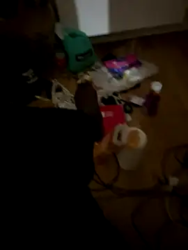 la chiennete online show from December 1, 8:36 pm