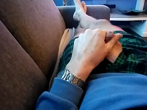 jk1981jk online show from November 16, 7:14 am