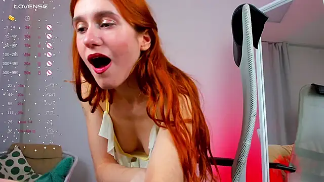 Sally Biscuit online show from January 17, 2:07 pm