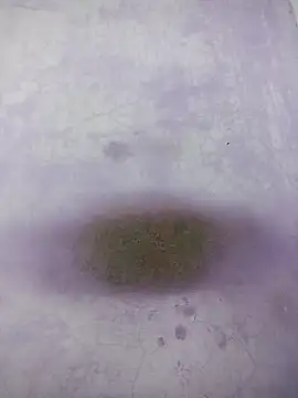 Kannadaboymanu online show from March 18, 4:59 pm