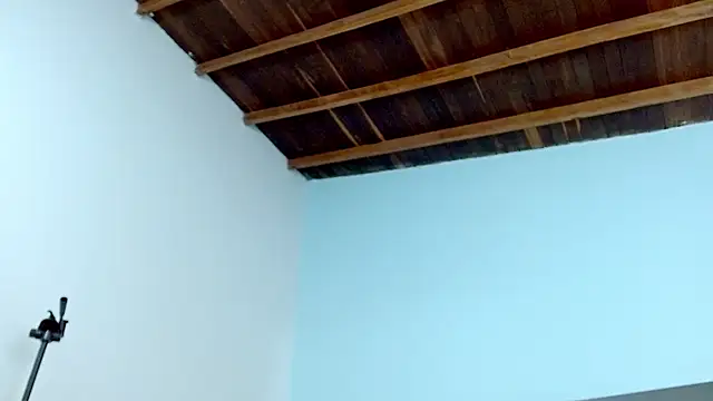 sophia hadid online show from January 18, 7:58 pm