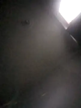 Snapshot of kevin613603 chatting on February 1, 10:47 am kevin613603 online show from February 1, 10:47 am