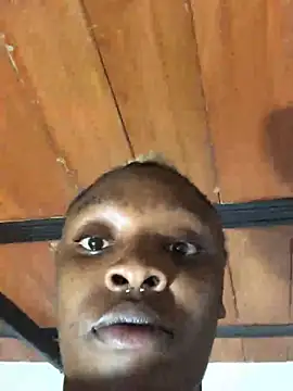 The wickles 4443 online show from February 19, 2:40 am