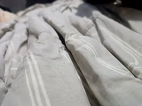 Mailsonp online show from March 30, 3:35 pm