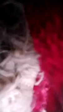 Bigcockmexi13 online show from October 12, 3:11 pm