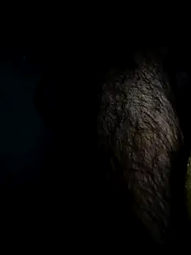 Bigcockmexi13 online show from April 18, 7:29 pm