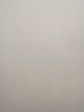 Shuttii 25 online show from December 2, 6:21 pm