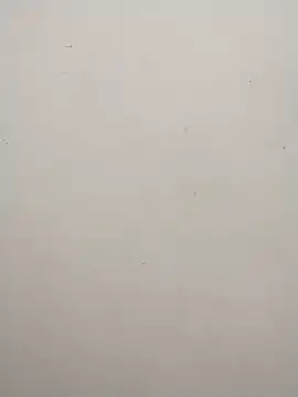 Shuttii 25 online show from December 25, 6:20 am