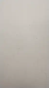 Shuttii 25 online show from January 25, 10:08 am