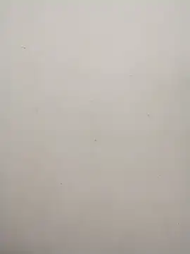 Shuttii 25 online show from January 31, 6:13 am