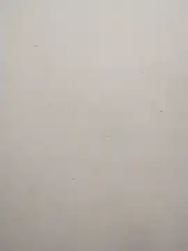 Shuttii 25 online show from February 10, 9:14 am