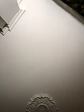 Snapshot of Mollly_n_david chatting on November 12, 6:47 am Mollly n david online show from November 12, 6:47 am